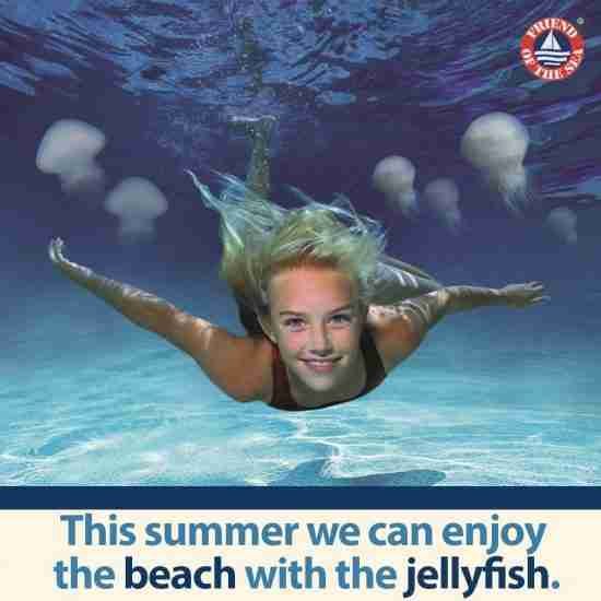 Safe Sea Box - SPF 40 SPRAY - Bulk (12 Pcs) - Image 5